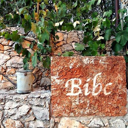 Bibc Wine & Holiday トリエステ エクステリア 写真